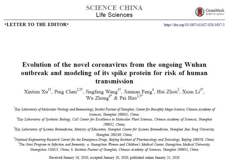 新型冠状病毒进化来源和传染人分子作用通路.jpg