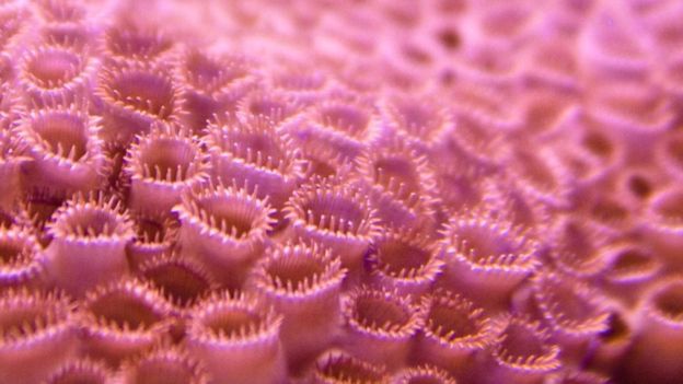 “ 银河系可能有36个外星文明” 这个数字怎么算出来的