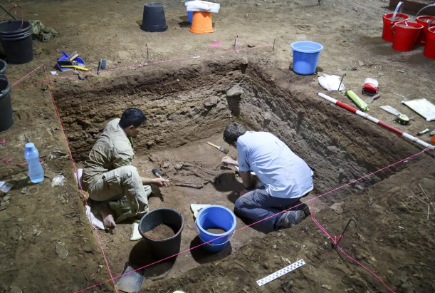 研究人员在印尼的一个洞穴中发现了一具3.1万年前的年轻成年人的骨骼
