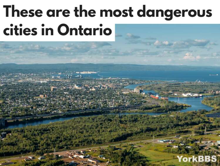 加拿大最安全和最危险的城市